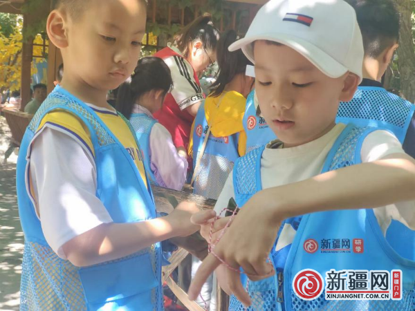 图片6